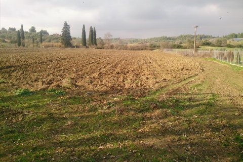 29643m² Land in Chalkidiki, Greece No. 60588 4