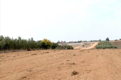 6200m² Land à Chalkidiki, Greece No. 60586 3