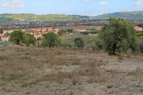 6300m² Land à Chalkidiki, Greece No. 60591 5