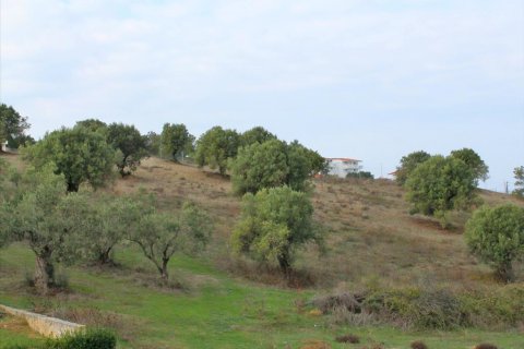 6300m² Land à Chalkidiki, Greece No. 60591 3