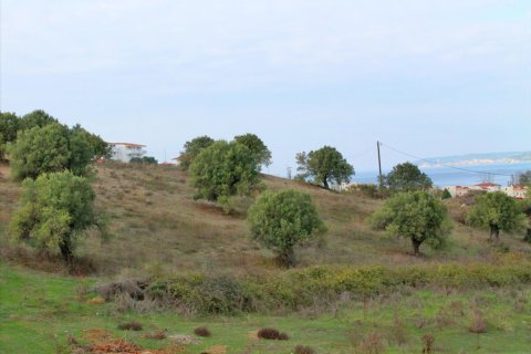 6300m² Land in Chalkidiki, Greece No. 60591 2