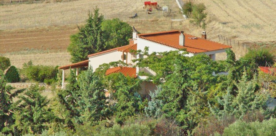 Studio House in Chalkidiki, Greece No. 60589