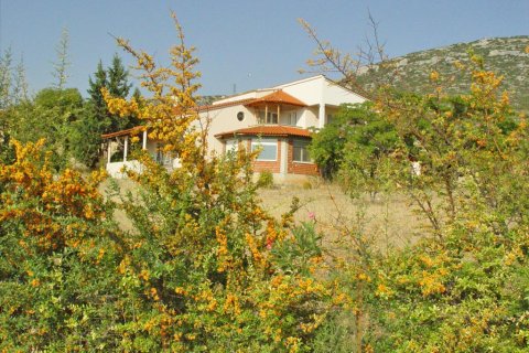 360m² House en Chalkidiki, Greece No. 60589 6