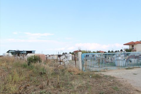 5500m² Land à Chalkidiki, Greece No. 60587 2