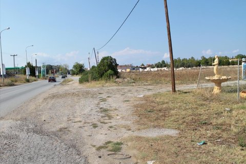 5500m² Land in Chalkidiki, Greece No. 60587 1