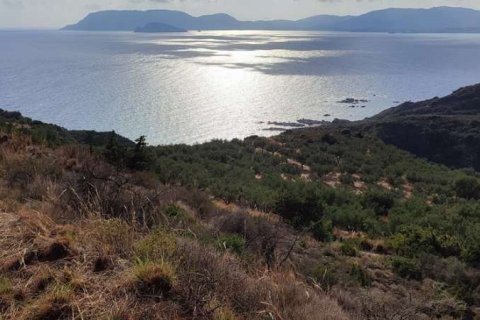 Land en Zakynthos, Greece No. 24554 2