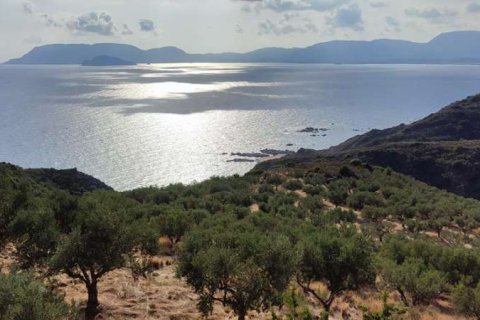 Land en Zakynthos, Greece No. 24554 14