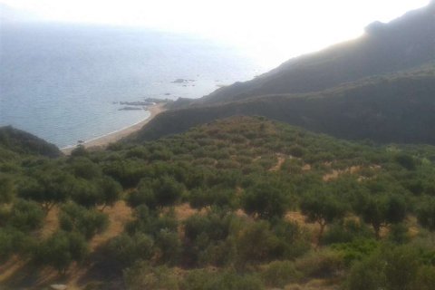 Land en Zakynthos, Greece No. 24554 19