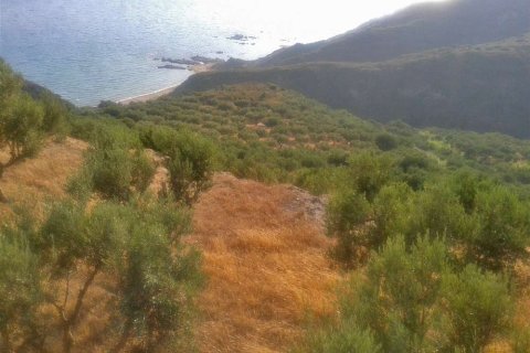 Land en Zakynthos, Greece No. 24554 3