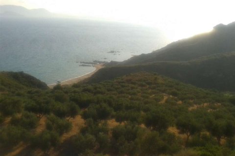 Land en Zakynthos, Greece No. 24554 20