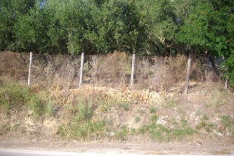 Land en Zakynthos, Greece No. 24549 9