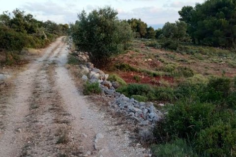 Land in Zakynthos, Greece No. 24550 12