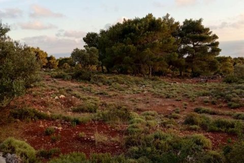 Land in Zakynthos, Greece No. 24550 4