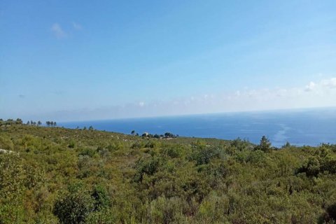 Land in Zakynthos, Greece No. 24550 15