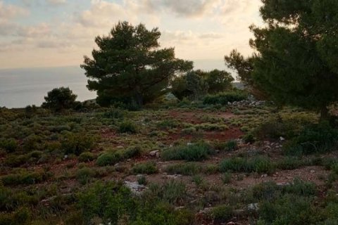 Land in Zakynthos, Greece No. 24550 19