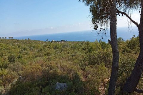 Land en Zakynthos, Greece No. 24550 6