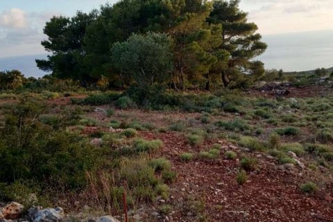 Land in Zakynthos, Greece No. 24550 16