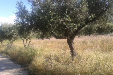 Land in Zakynthos, Greece No. 24489 8