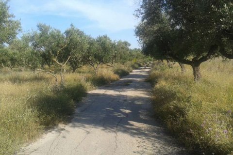 Land à Zakynthos, Greece No. 24489 3