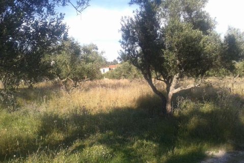 Land in Zakynthos, Greece No. 24489 6