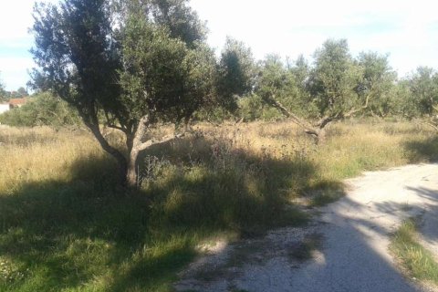 Land in Zakynthos, Greece No. 24489 11