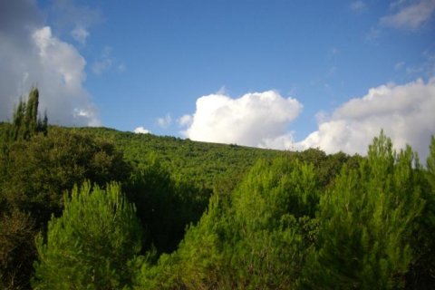 Land in Zakynthos, Greece No. 24484 8