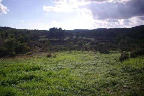 Land in Zakynthos, Greece No. 24484 16