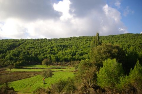 Land en Zakynthos, Greece No. 24484 7