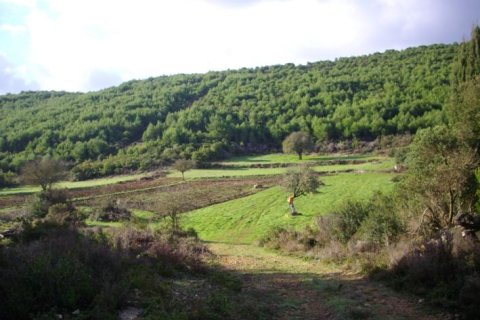 Land in Zakynthos, Greece No. 24484 5