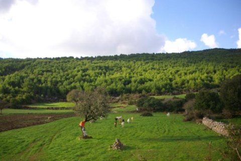 Land in Zakynthos, Greece No. 24484 1