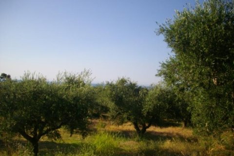 Land en Zakynthos, Greece No. 24486 6