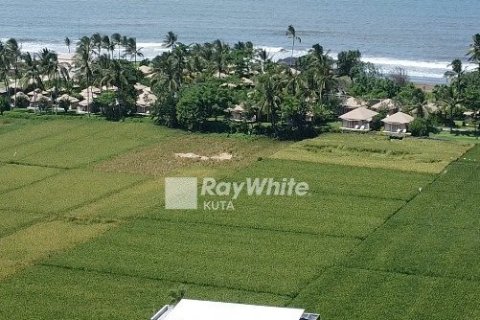 4 bedrooms Villa in Kediri, Indonesia No. 22696 3