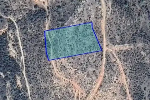 8919m² Land à Pissouri, Cyprus No. 41714 1