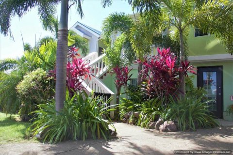 6 bedrooms Villa in Basseterre, Saint Kitts and Nevis No. 61437 2