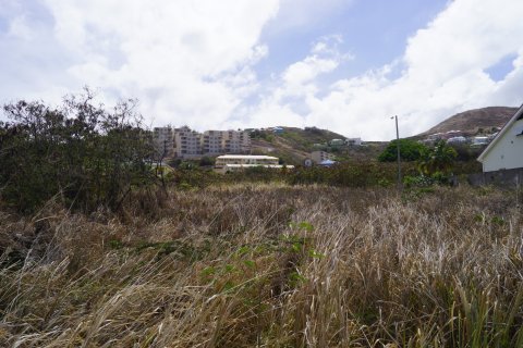 1175.87m² Land à Frigate Bay, Saint Kitts and Nevis No. 61438 3