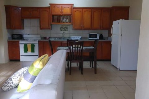 663.14m² Villa à Basseterre, Saint Kitts and Nevis No. 61434 12