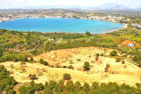 40000m² Land en Kranidi, Greece No. 59713 2