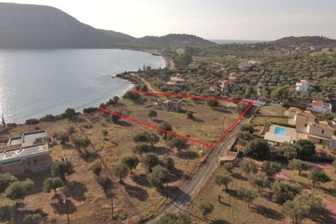 4000m² Land à Argolis, Greece No. 59709 2