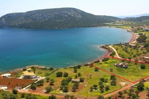 4000m² Land à Argolis, Greece No. 59709 1