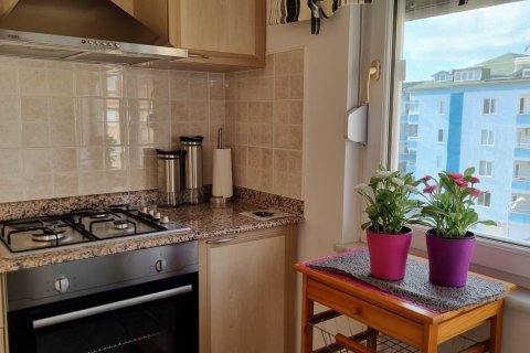 4+1 Penthouse à Oba, Turkey No. 12508 9