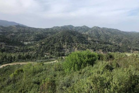 25284m² Land in Trimiklini, Cyprus No. 35813 1