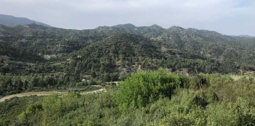 25284m² Land in Trimiklini, Cyprus No. 35813