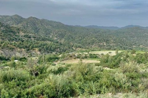 25284m² Land in Trimiklini, Cyprus No. 35813 3