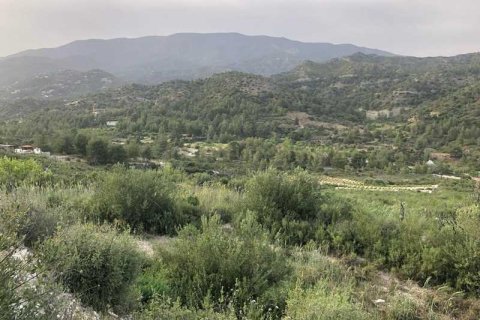 25284m² Land in Trimiklini, Cyprus No. 35813 2