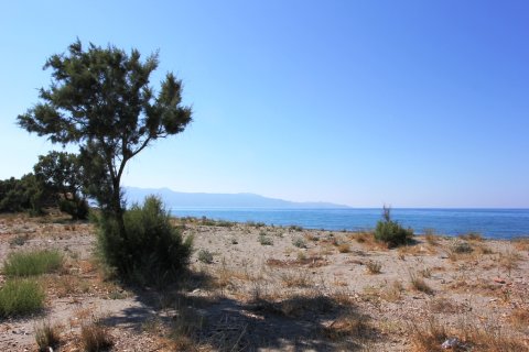 16000m² Land en Platanias, Greece No. 59562 2