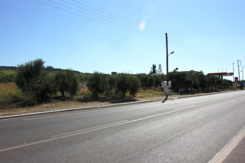 4700m² Land in Platanias, Greece No. 59564 3