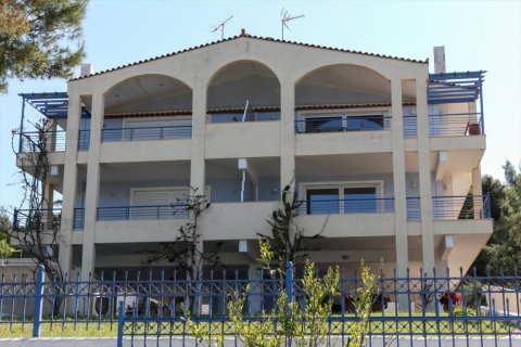 12 chambres House à Malesina, Greece No. 57279 1