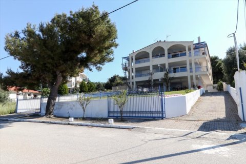 12 dormitorios House en Malesina, Greece No. 57279 3