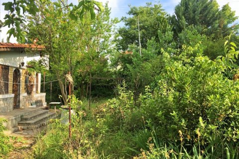 8125m² Land en Polichni, Greece No. 57277 5