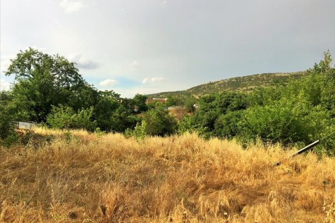 8125m² Land in Polichni, Greece No. 57277 2